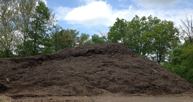 Mulch Pile